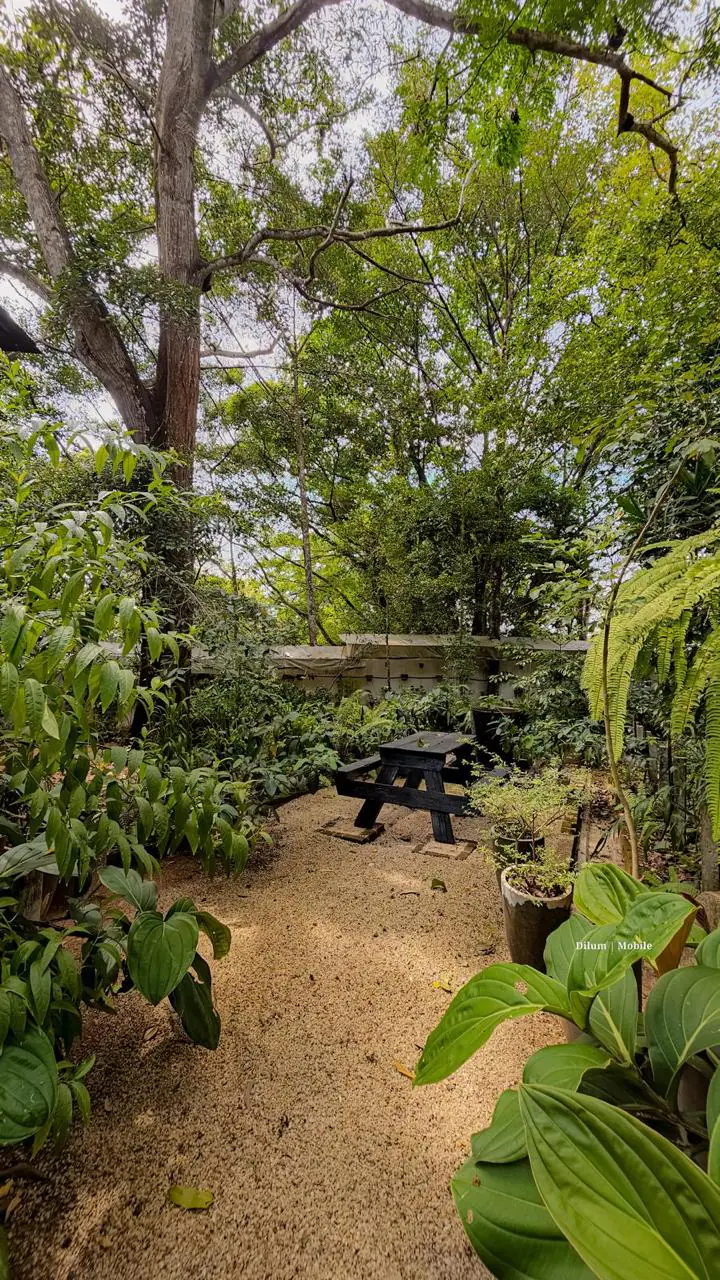 Nature & Botanical