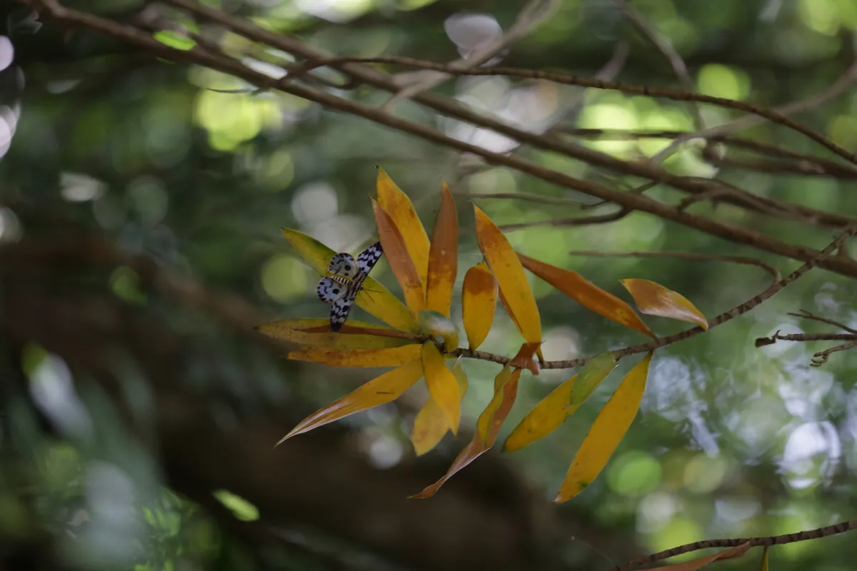 Flowers & Plants - E18A7444