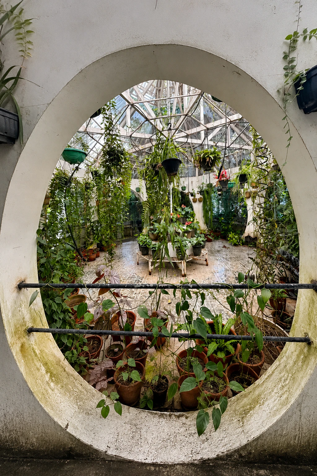 Spice Garden